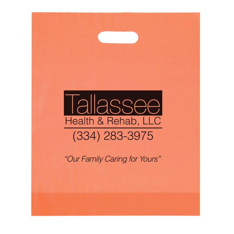 Frosted Die Cut Plastic Bag (12"x15"x3") - Foil Stamp