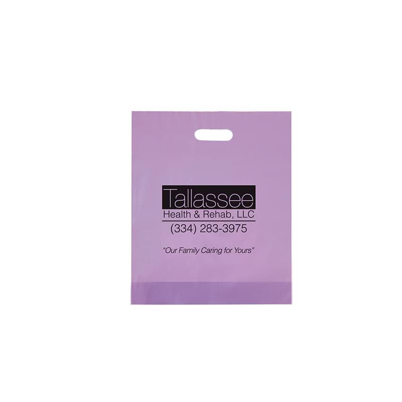 Frosted Die Cut Bag |12x15x3| - Foil Stamp