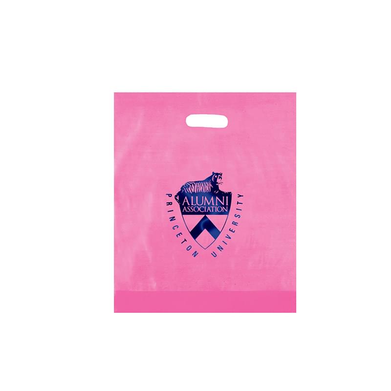 Frosted Die Cut Bag |15x18x4| - Foil Stamp
