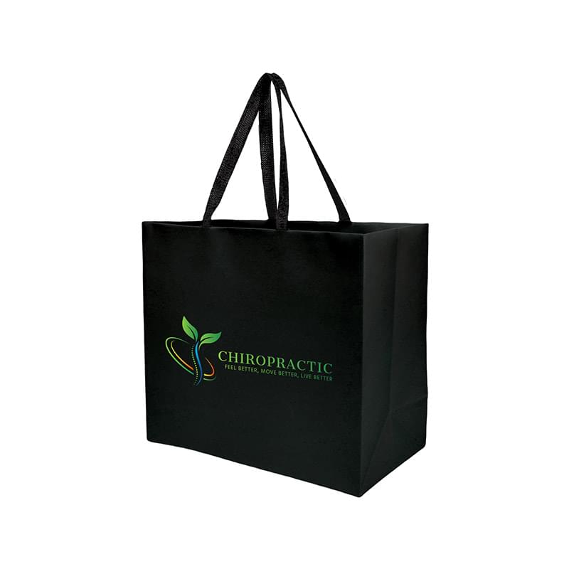 Sugarcane Paper Sustainable Bag with Embedded Web-Style Paper Handle |13x5x10| - Color Evolution