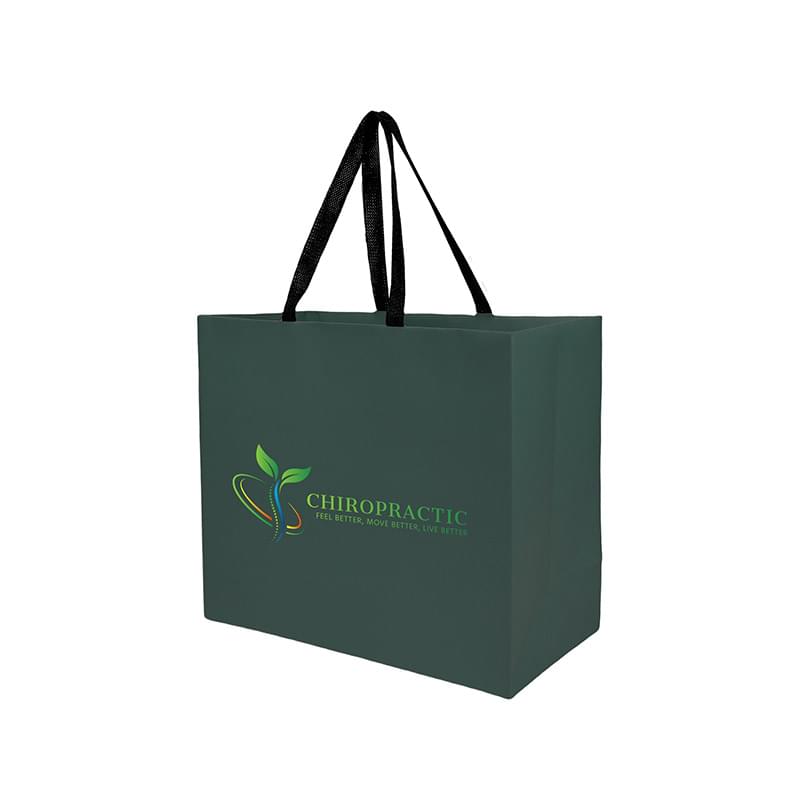 Sugarcane Paper Sustainable Bag with Embedded Web-Style Paper Handle |13x5x10| - Color Evolution