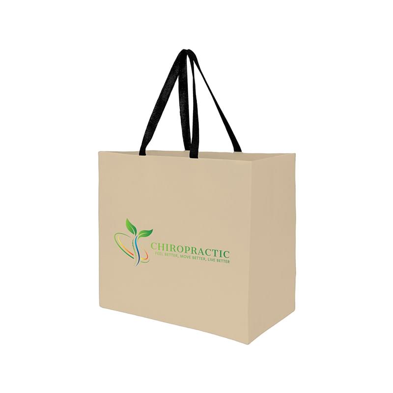 Sugarcane Paper Sustainable Bag with Embedded Web-Style Paper Handle |13x5x10| - Color Evolution
