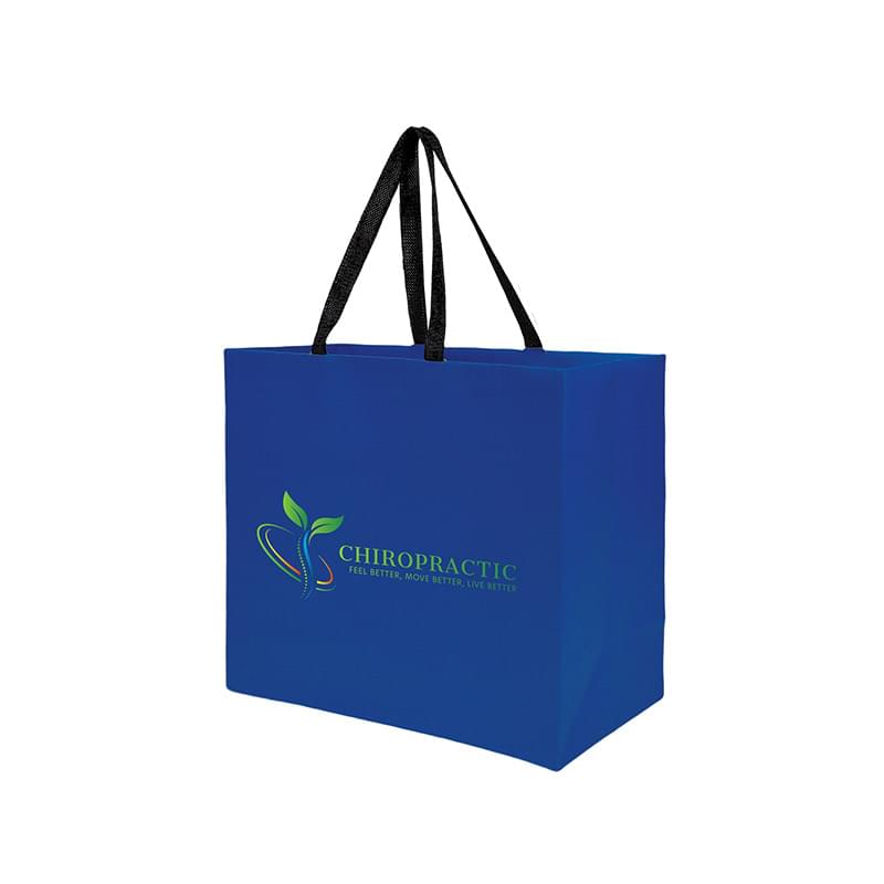 Sugarcane Paper Sustainable Bag with Embedded Web-Style Paper Handle |13x5x10| - Color Evolution