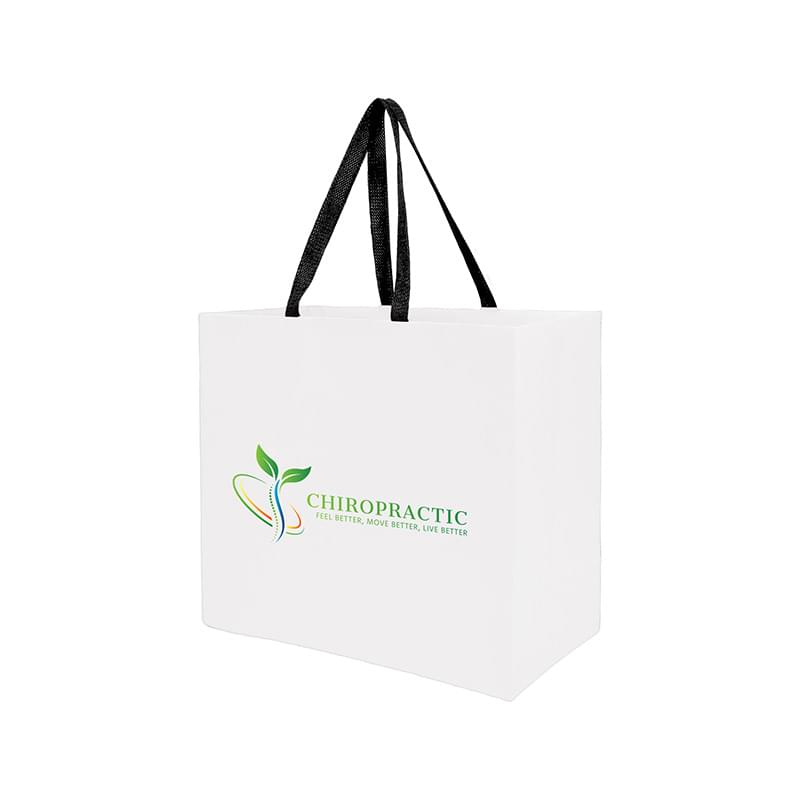 Sugarcane Paper Sustainable Bag with Embedded Web-Style Paper Handle |13x5x10| - Color Evolution