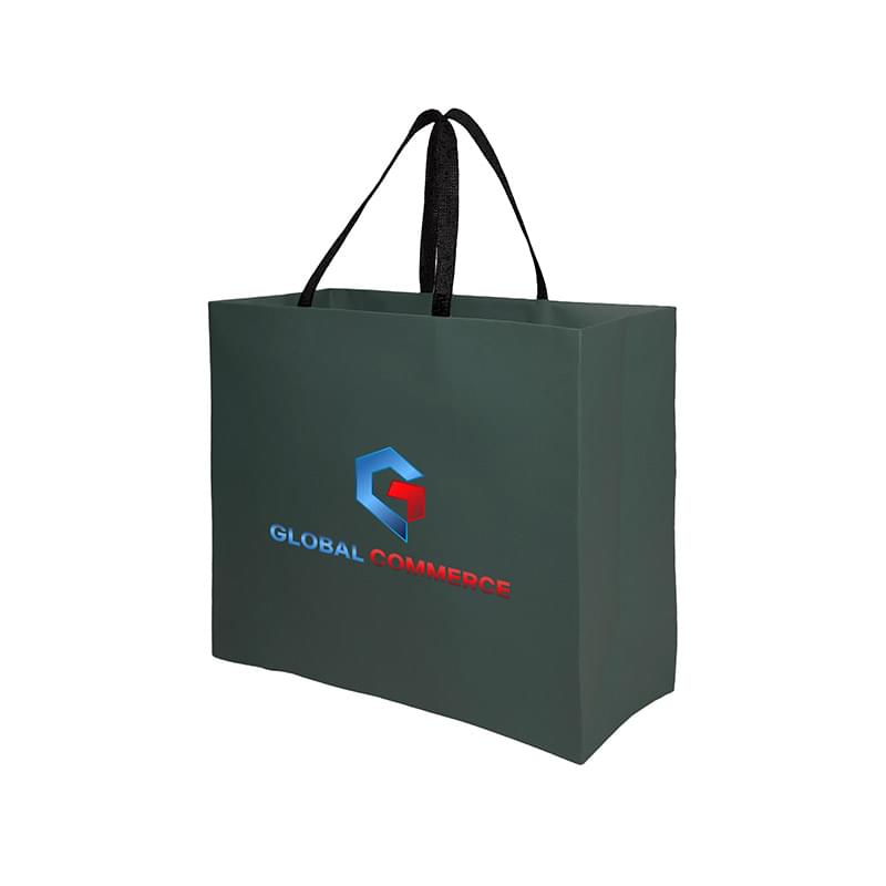 Sugarcane Paper Sustainable Bag with Embedded Web-Style Paper Handle |16x6x12| - Color Evolution