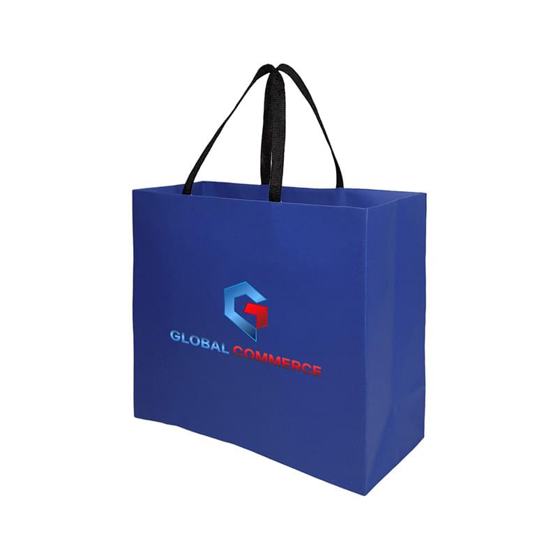 Sugarcane Paper Sustainable Bag with Embedded Web-Style Paper Handle |16x6x12| - Color Evolution