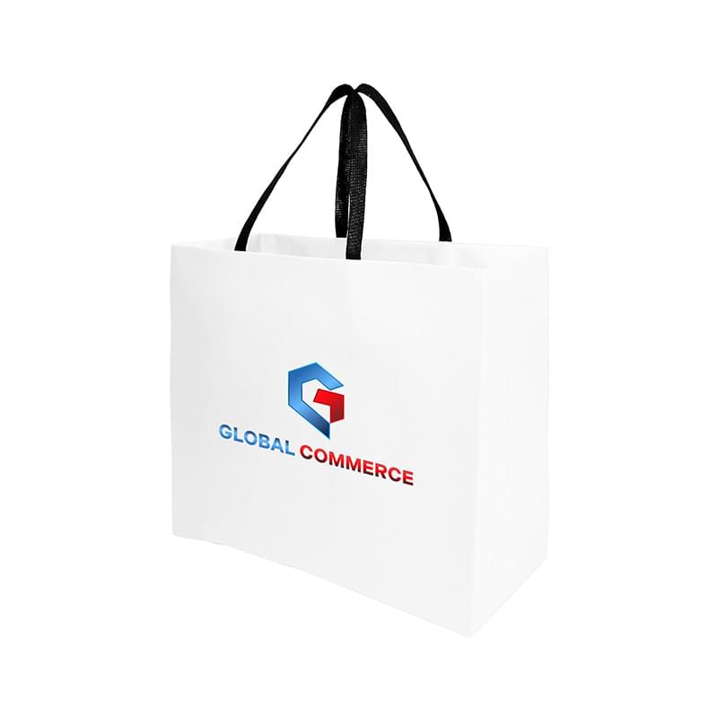 Sugarcane Paper Sustainable Bag with Embedded Web-Style Paper Handle |16x6x12| - Color Evolution