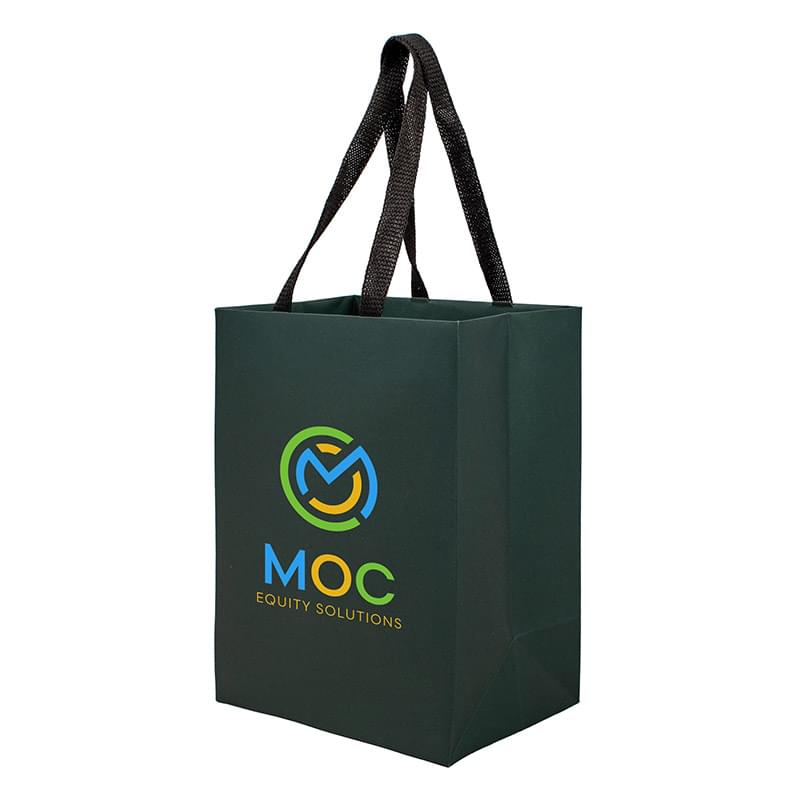 Sugarcane Paper Sustainable Bag with Embedded Web-Style Paper Handle |8x5x10| - Color Evolution