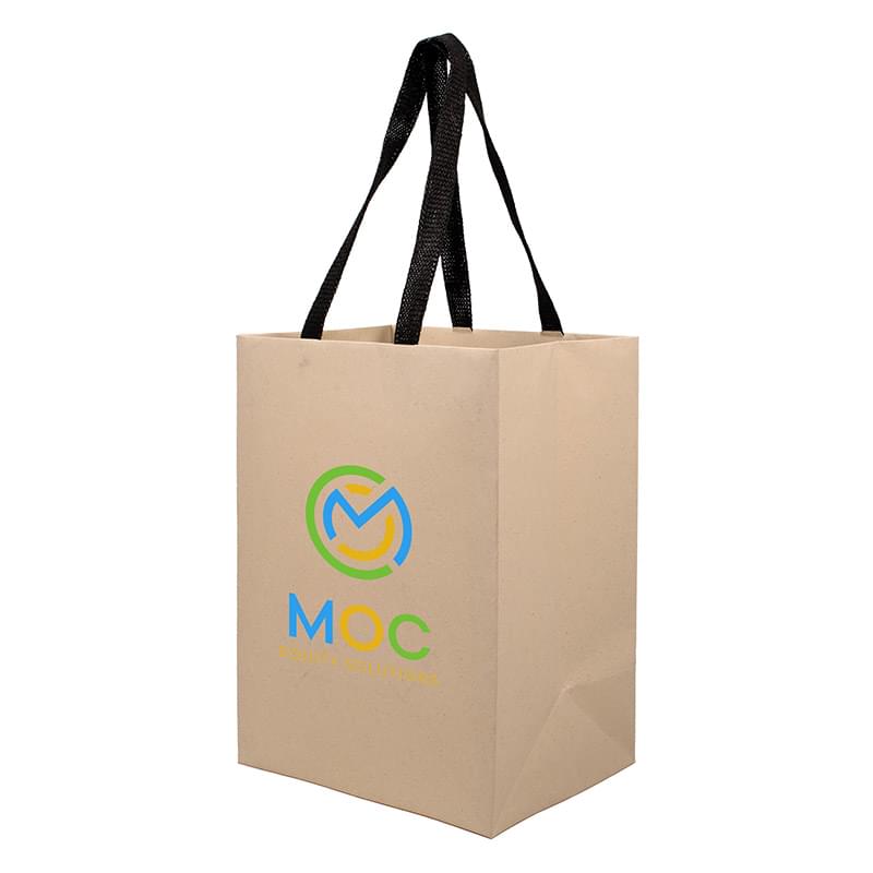 Sugarcane Paper Sustainable Bag with Embedded Web-Style Paper Handle |8x5x10| - Color Evolution