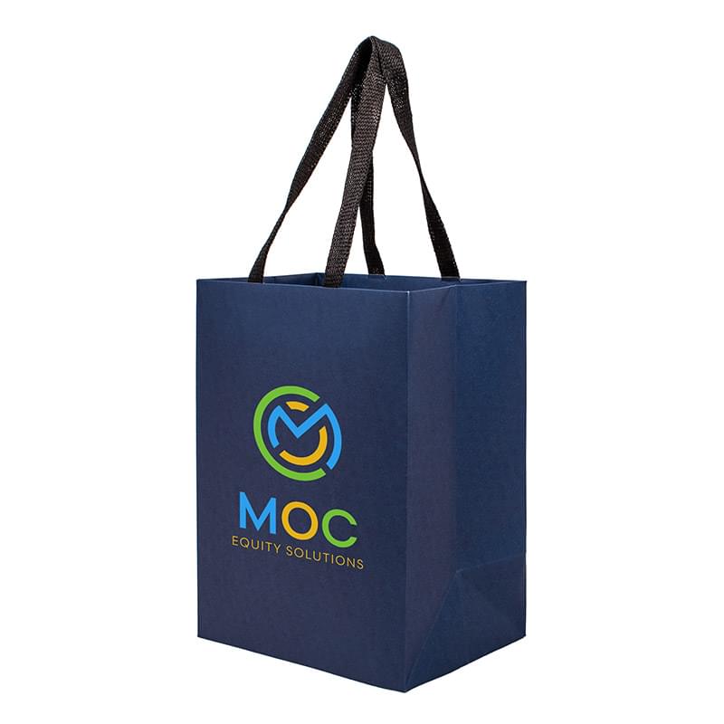Sugarcane Paper Sustainable Bag with Embedded Web-Style Paper Handle |8x5x10| - Color Evolution
