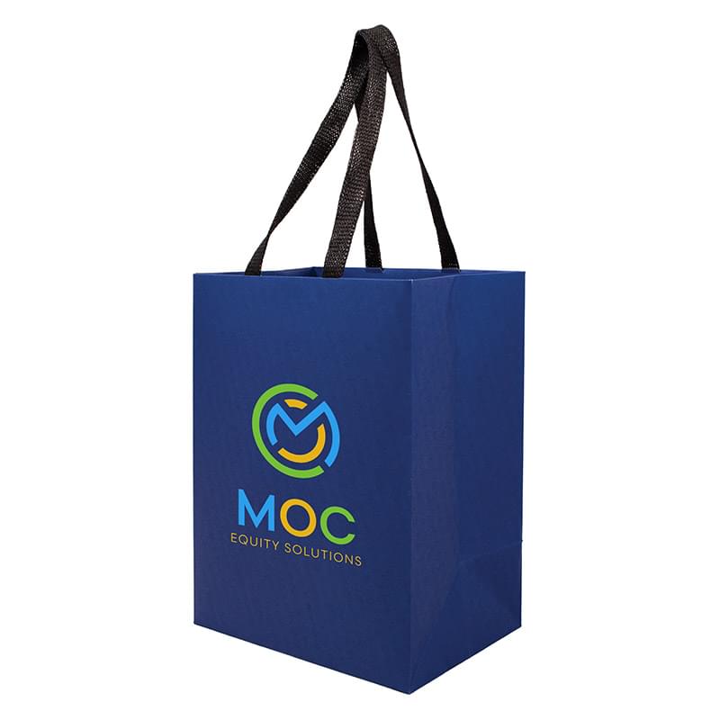 Sugarcane Paper Sustainable Bag with Embedded Web-Style Paper Handle |8x5x10| - Color Evolution