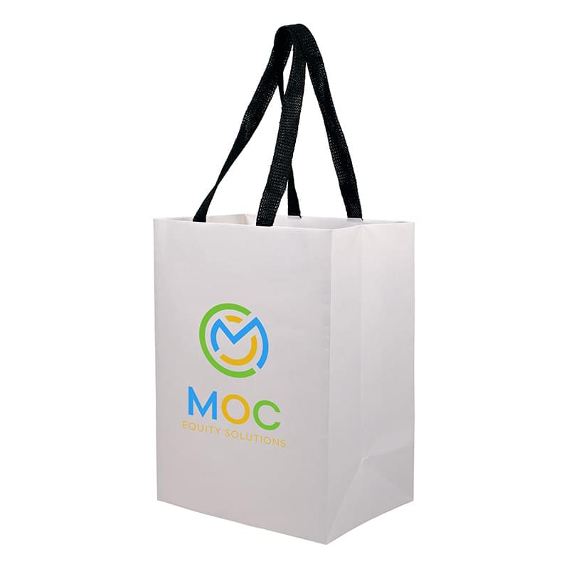 Sugarcane Paper Sustainable Bag with Embedded Web-Style Paper Handle |8x5x10| - Color Evolution