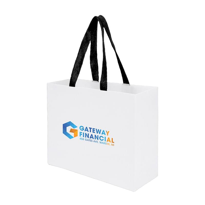 Sugarcane Paper Sustainable Bag with Embedded Web-Style Paper Handle |9x3x7| - Color Evolution
