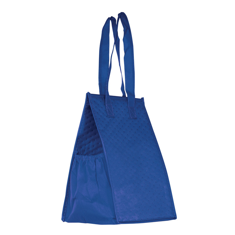 Insulated Non-Woven Lunch Tote w/Insert and Full Color (8"x7"x12") - Color Evolution