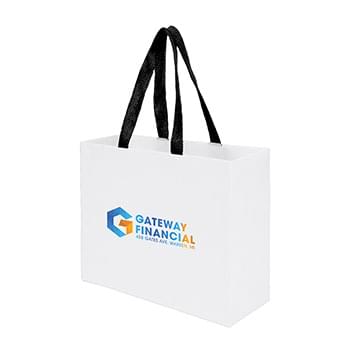 Sugarcane Paper Sustainable Bag with Embedded Web-Style Paper Handle |9x3x7| - Color Evolution